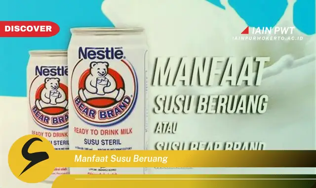 manfaat susu beruang