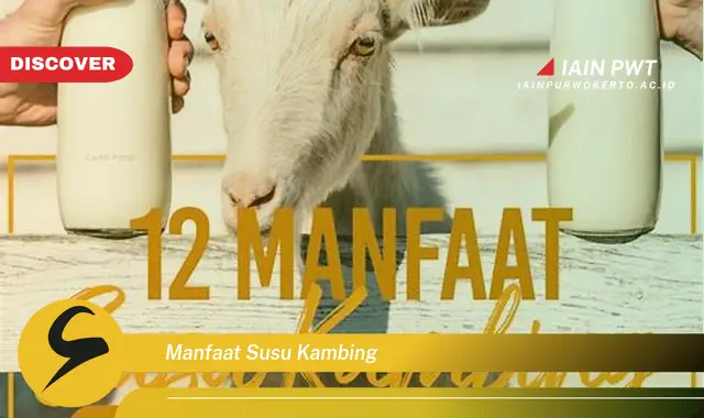 manfaat susu kambing