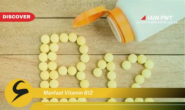 manfaat vitamin b12