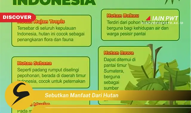 sebutkan manfaat dari hutan