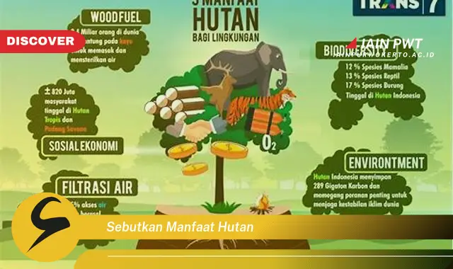 sebutkan manfaat hutan