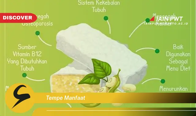 tempe manfaat